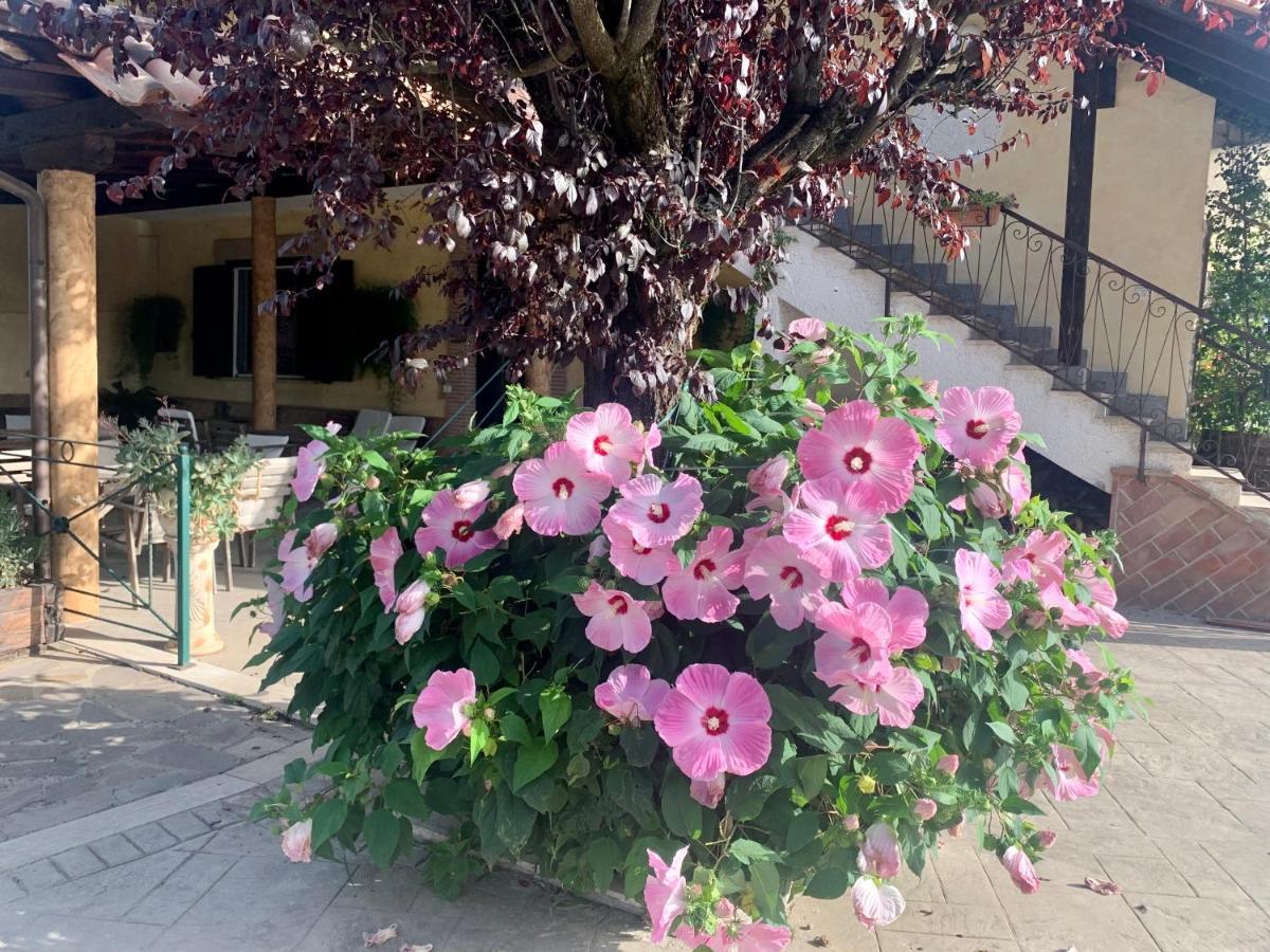 Residenza Cerci Otel Valmontone Dış mekan fotoğraf